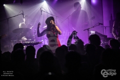 copyright-William-Ejam-Maail-2025-https-therealejammaail.tumblr.com-4