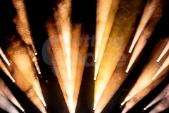 copyright-William-Ejam-Maail-2025-https-therealejammaail.tumblr.com-80