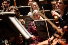 copyright-William-Ejam-Maail-2025-https-therealejammaail.tumblr.com-32