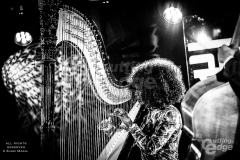 copyright-William-Ejam-Maail-2025-https-therealejammaail.tumblr.com-12