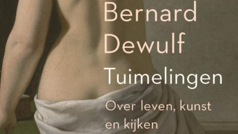 Beter leren kijken met Bernard Dewulf