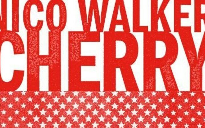 Nico Walkers hellevaart van een heroïsche heroïnehufter