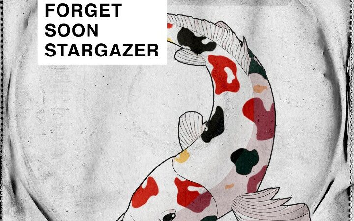 Ondergedompeld worden in de diverse wereld van indiepop met Forget Soon Stargazer