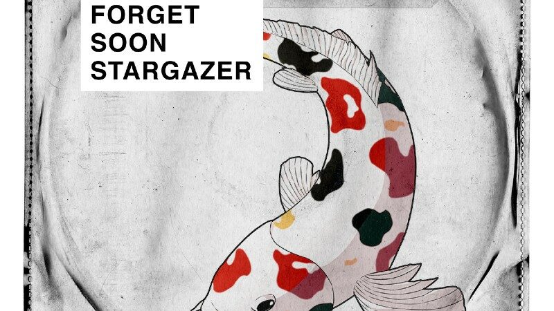 Forget Soon Stargazer, 'What if we weren't'