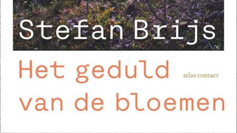 Treurzang in een stille vallei