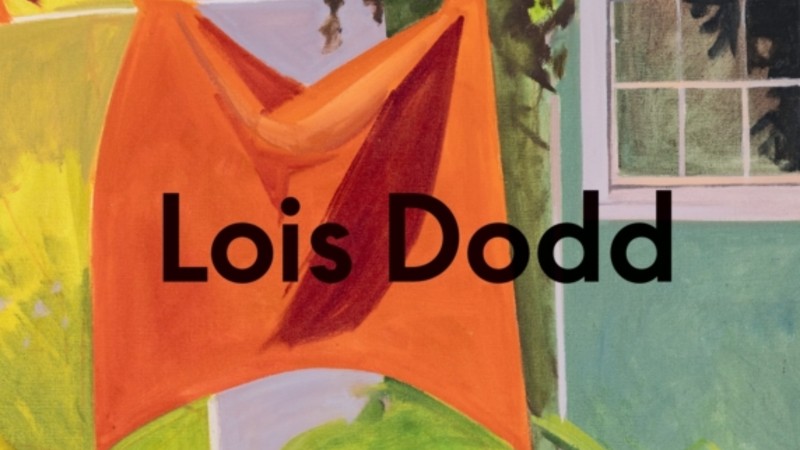 Lois Dodd: de ingetogen, poëtische blik op het alledaagse