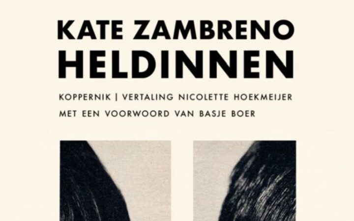 Weg van de tocht van de held in Zambreno’s Heldinnen