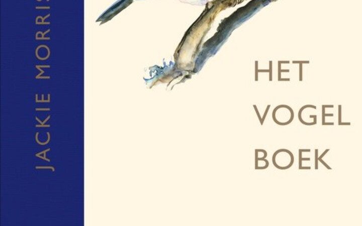De zeven wonderen van het vogelbestaan volgens Robert MacFarlane en Jackie Morris