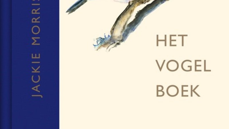 De zeven wonderen van het vogelbestaan volgens Robert MacFarlane en Jackie Morris