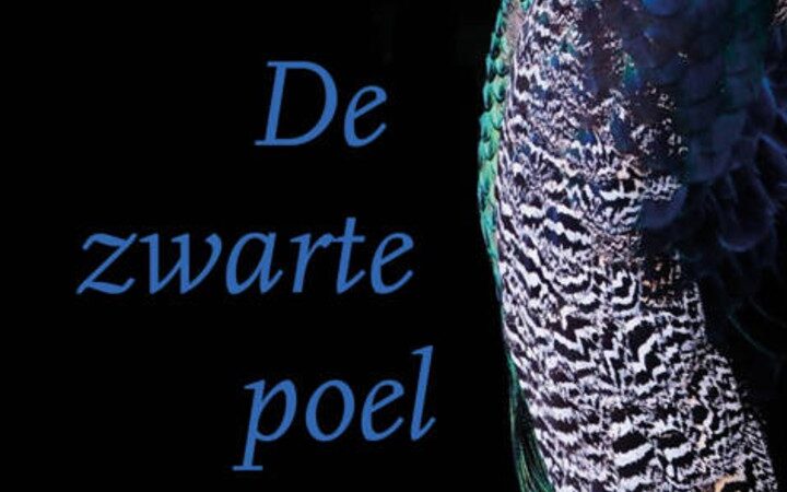 Verraad en trauma in een Zeeuws landschap