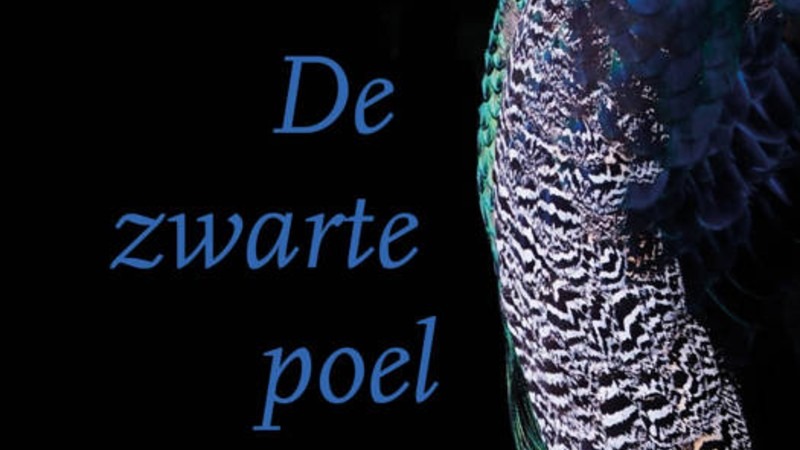 Verraad en trauma in een Zeeuws landschap