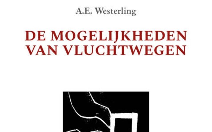 A.E. Westerling intrigeert met zijn mogelijkheden