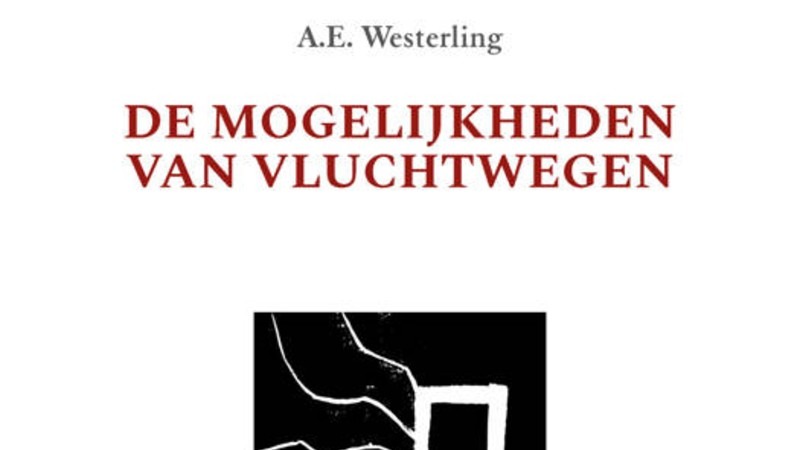 A.E. Westerling intrigeert met zijn mogelijkheden